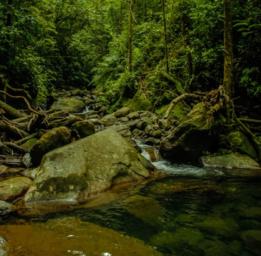 Sumatera Tiger Trek